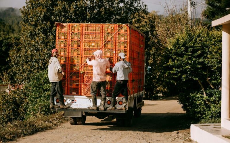 Cómo la entrega omnicanal impulsa la eficiencia logística y las ventas en Florida